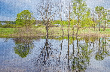 Pond with trees in the background