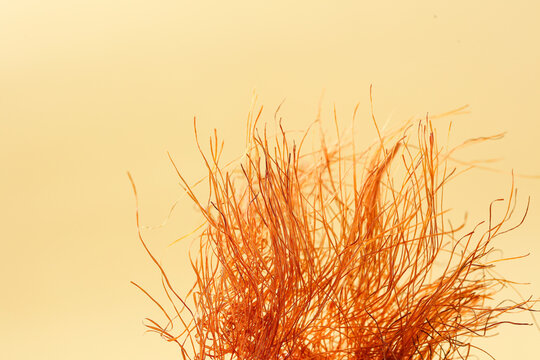 Dried Corn Silk Husk Strands for Herbal Tea Brewing and Natural Health Benefits