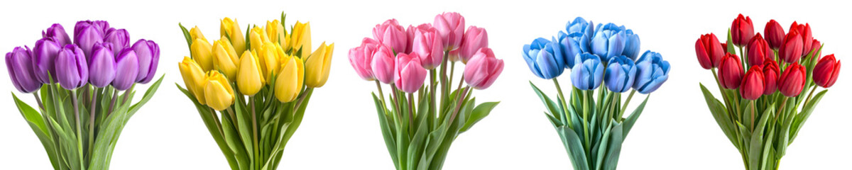 Naklejka premium Set of lush tulip bouquets isolated on a transparent background PNG
