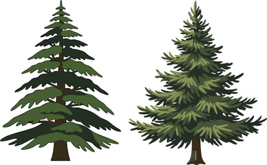 Stylized vs realistic evergreen tree illustration for nature design, forest education, botanical comparison, seasonal graphics, and landscape vector content