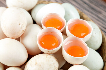 Fresh Free-Range Duck Eggs with Orange Yolks in White and Green Shells