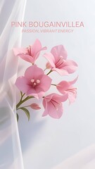 Phone Wallpaper Series : Flower Language - Pink Bougainvillea, means : Passion, Vibrant Energy 006