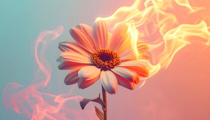 A daisy, centered, with orange and pink petals, surrounded by blurred, fiery, wispy flames against a teal-to-orange gradient backdrop