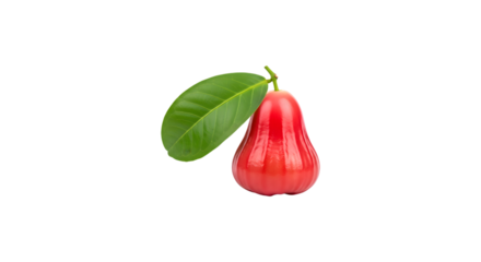 Rose apple with a green leaf isolated on transparent background this tropical fruit is also known as bell fruit, water apple, or cloud apple, and is edible