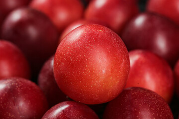 Fresh Red Plums with Water Droplets - Premium Australian Imported Jumbo Fruit