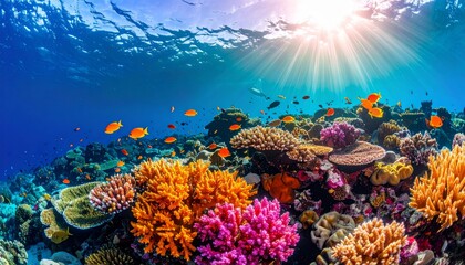 Fototapeta premium Vibrant tropical fish swim among the colorful coral reefs of the Red Sea
