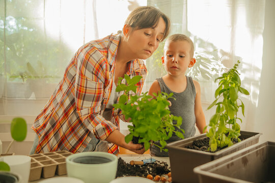 Woman holding mint plant and gardening with son at home