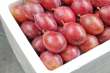 Fresh Australian Red Plums in Wooden Box - Large Sweet Stone Fruit Picture
