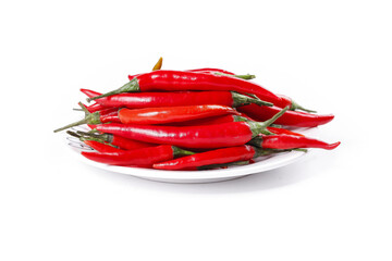 Fresh Red Sichuan Chili Peppers on White Plate - Hot Spicy Chinese Cooking Ingredients