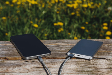 Stay Connected: smartphone and power bank on a rustic bench with flowers.