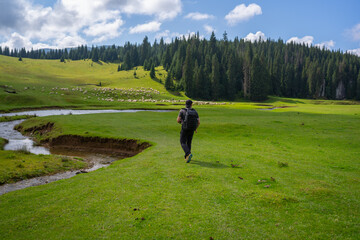 Hiker in Ponor Meadow Romania