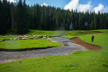 Hiker in Ponor Meadow Romania