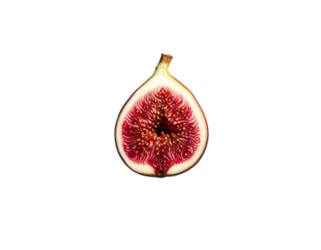 A halved fig, showcasing its vibrant crimson interior with numerous tiny seeds surrounding a central cavity, against a stark black backdrop