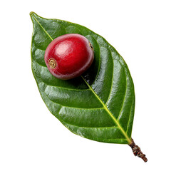 Coffee cherry