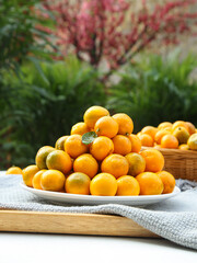 Fresh Sweet Kumquats from Guangxi China - Crisp Citrus Fruits on White Plate with Garden Background