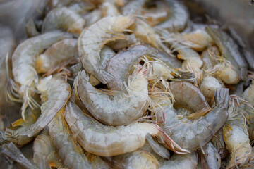 Fresh white tiger prawns or raw whiteleg prawns, without heads.