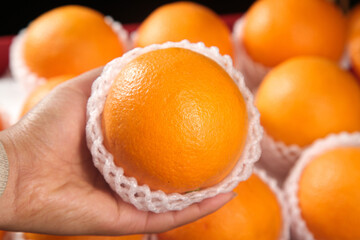Fresh Gannan Orange in Protective Net Packaging - Premium Chinese Citrus Fruit Display
