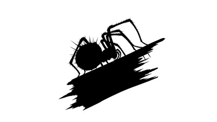 Fototapeta premium Creepy spider silhouette on a broken piece of wood against a blank white background