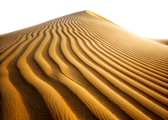 Golden Sand Dunes With Rippled Texture Against Background desert isolated on a transparent background