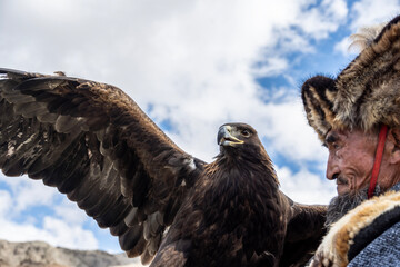 A Mongolian eagle hunter, a berkutchi, prepares to hunt with his bird on a September day in Mongolia.