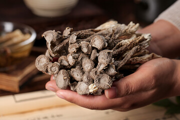 Fresh Dried Wild Mushrooms Held in Cupped Hands for Cooking and Culinary Ingredients