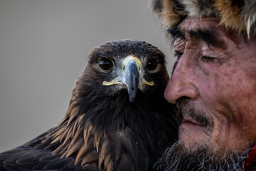 A Mongolian eagle hunter, a berkutchi, prepares to hunt with his bird on a September day in Mongolia.