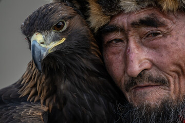 A Mongolian eagle hunter, a berkutchi, prepares to hunt with his bird on a September day in Mongolia.