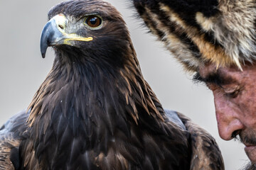 A Mongolian eagle hunter, a berkutchi, prepares to hunt with his bird on a September day in Mongolia.