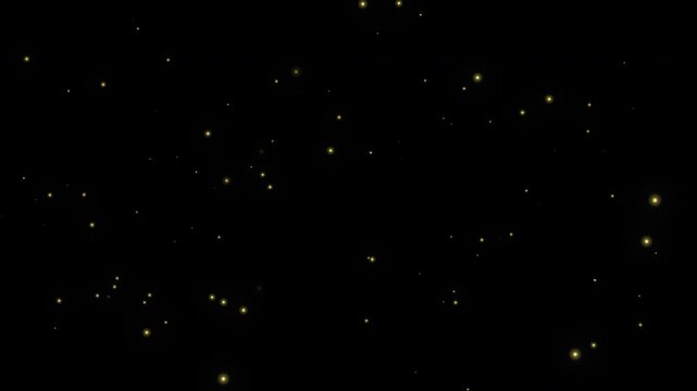 Floating firefly particles on transparent background