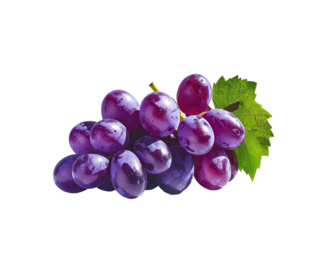 A cluster of plump, dark purple grapes with a dew-kissed sheen, attached to a vine and a vibrant green leaf, set against a black background
