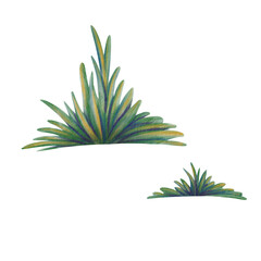 Cheerful clumps of yellowing autumn grass in cartoon style,crafted with soft watercolor washes and textured colored pencils.For seasonal projects,childrens books, nature-themed designs