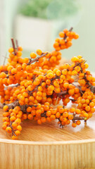 Organic Sea Buckthorn Berries on Wood - Natural Wild Superfruit from Shanxi for Raw Juice Making