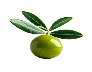 A single, glistening green olive, plump and ripe, sits atop three vibrant olive leaves against a stark black backdrop