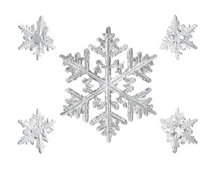Firefly_Snowflake white celebration creativity._