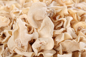 Dried White Jade Mushrooms from Changbaishan Northeast China Asian Culinary Specialty Ingredient