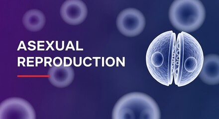 Asexual Reproduction