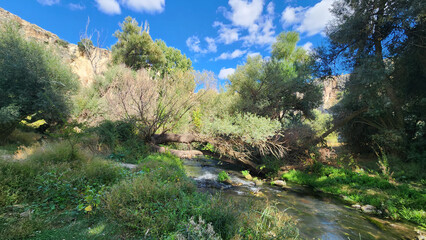A September afternoon view of the Melendiz Stream  flowing through the famous Ihlara Valley in Aksaray Turkey