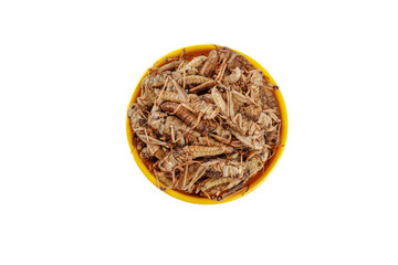 Fried Grasshoppers Traditional Shandong Cuisine Fresh Insect Delicacy Bowl Farmers Market Food