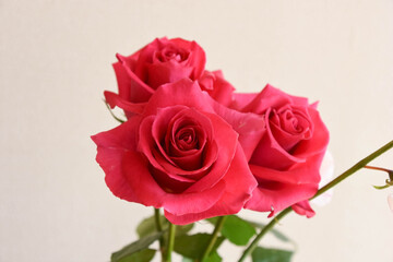 薔薇とスイートピー