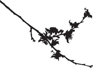 Vector silhouette of blooming tree branch | floral illustration eps