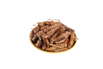 Fried Grasshoppers Locusts Bowl Shandong China Traditional Insect Food Farmers Cuisine Fresh Exotic Delicacy