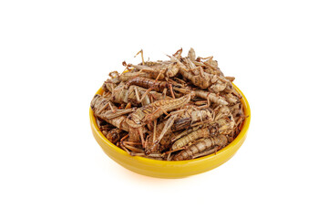 Dried Grasshoppers in Yellow Bowl - Shandong China Traditional Insect Food Snack for Farmers