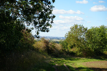 Footpath through Clipston Woods, Nottinghamshire, with a distant view of the city: a tranquil English countryside scene