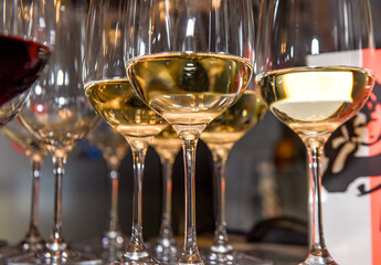 White wine in a glass