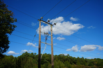 Obraz premium Wooden Electricity Pylon Against Blue Sky, Clipston Woods, Nottinghamshire, England, Countryside Scene