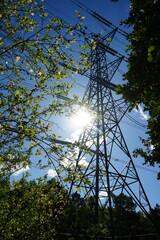 Electricity Pylon in Clipston Woods, Nottinghamshire, England: A Rural Landscape Scene