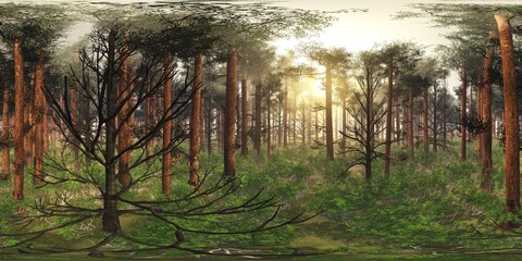 Trees in the fog. Environment map. HDRI map. equidistant projection. Spherical panorama. landscape
3D rendering