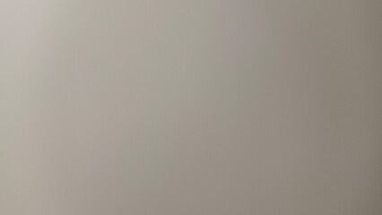 Light Grey Beige Solid Background