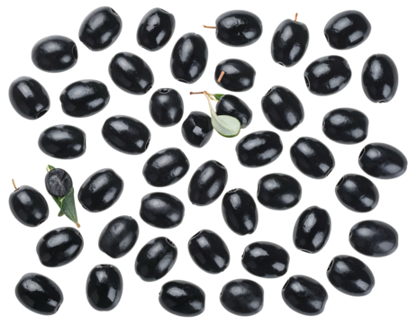 A dense collection of dark, glossy, oval-shaped berries, scattered with a few small leaves and stems, against a pure black background
