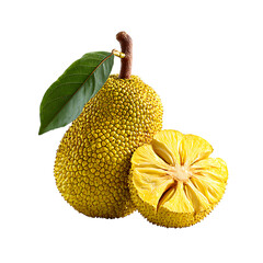 Lakoocha Monkey jack fruit